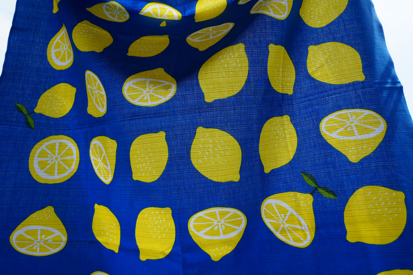 Glissez-en une dans votre sac – Emportez avec vous la beauté du Japon【Citron】