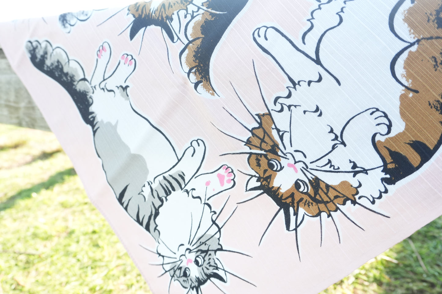 Glissez-en une dans votre sac – Emportez avec vous la beauté du Japon【Chat】