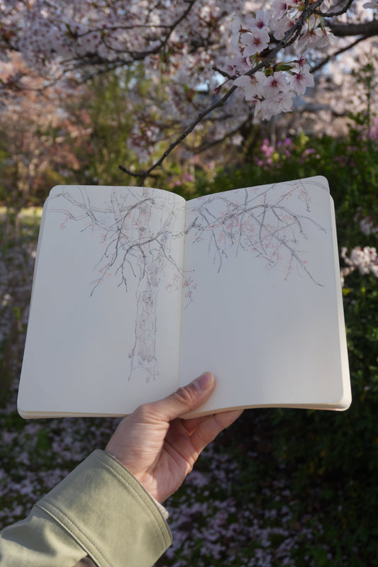 桜の下で描くということ｜金沢の日本画作家とアーティストノート