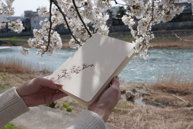 春を手に取る。桜の道具たち。