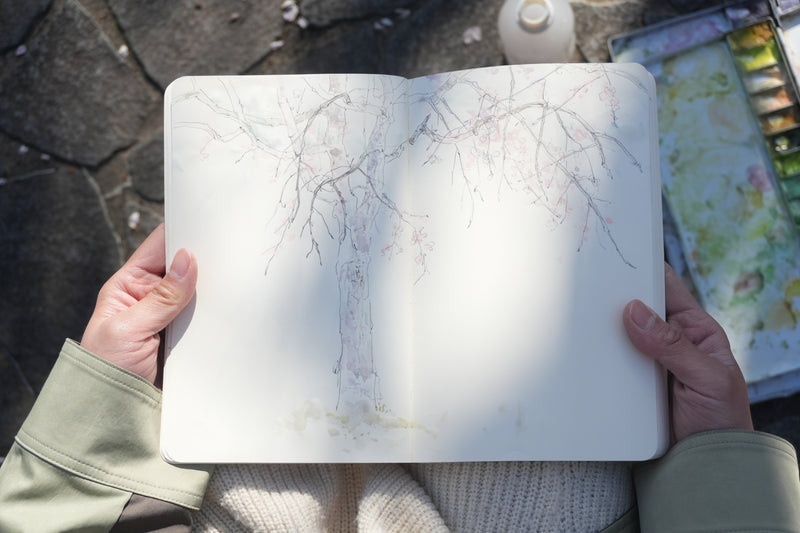 Thirty sketches completed