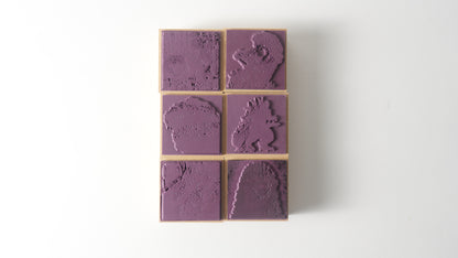 Coffret de tampons en caoutchouc GODZILLA Shin Godzilla Series | Produit sous licence officielle, fabriqué au Japon