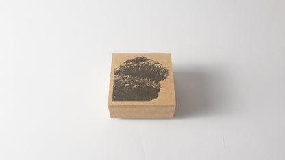 Coffret de tampons en caoutchouc GODZILLA Shin Godzilla Series | Produit sous licence officielle, fabriqué au Japon