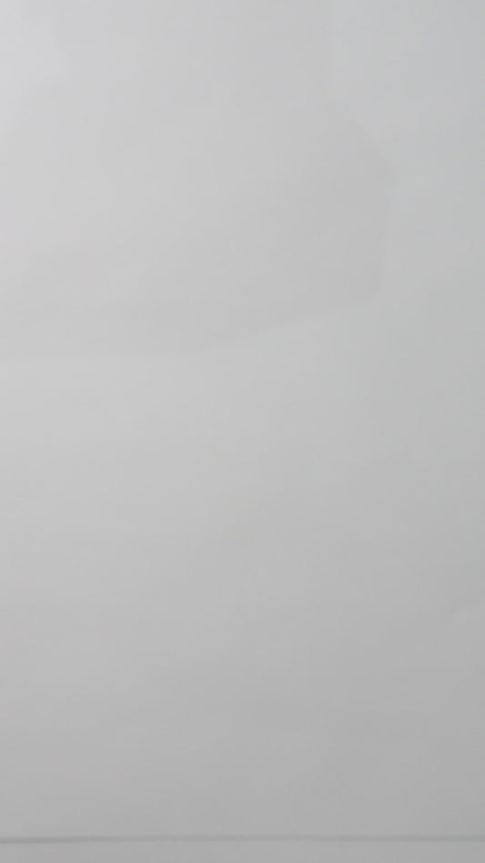 Coffret de tampons en caoutchouc GODZILLA Heisei vs. Godzilla | Produit sous licence officielle, fabriqué au Japon