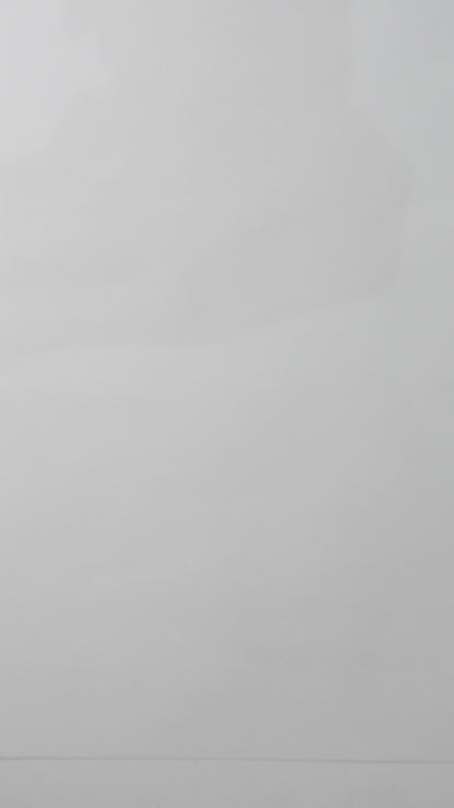 Coffret de tampons en caoutchouc GODZILLA Shin Godzilla Series | Produit sous licence officielle, fabriqué au Japon