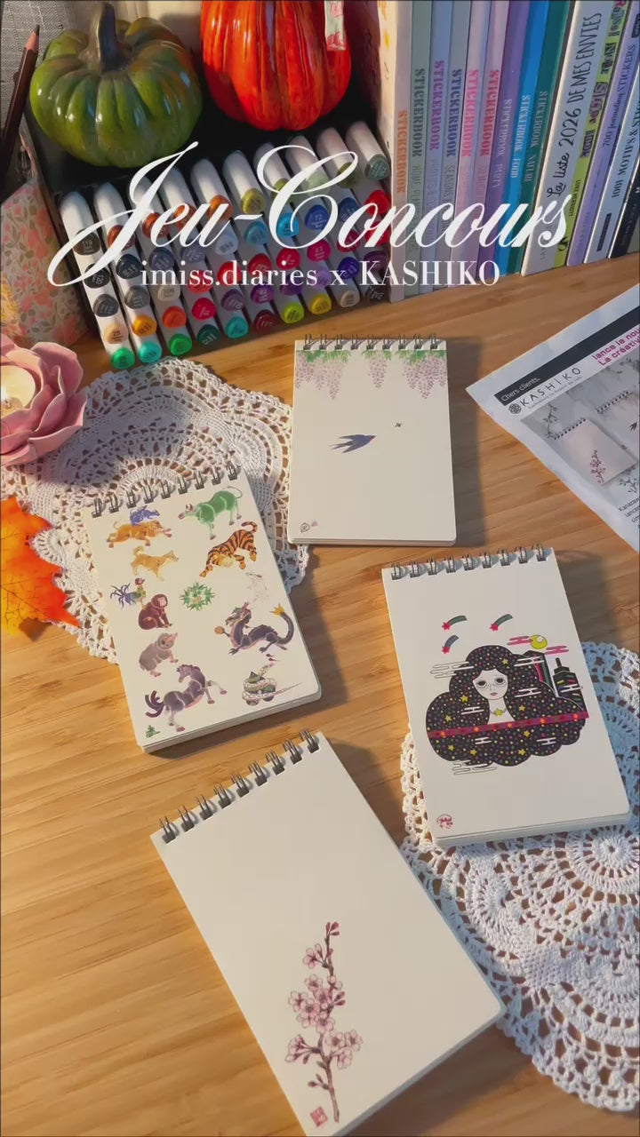 動画を読み込む: 